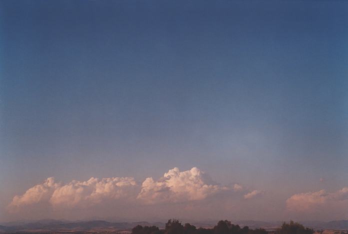 contributions received : near Jerrys Plains, NSW<BR>Photo by Geoff Thurtell   1 September 2001