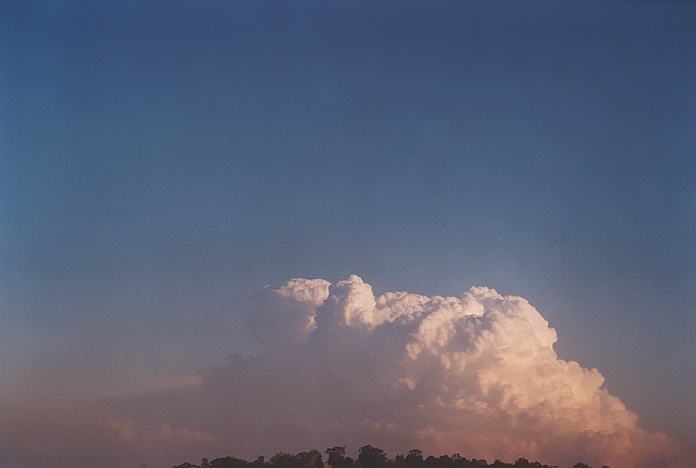 contributions received : near Jerrys Plains, NSW<BR>Photo by Geoff Thurtell   1 September 2001