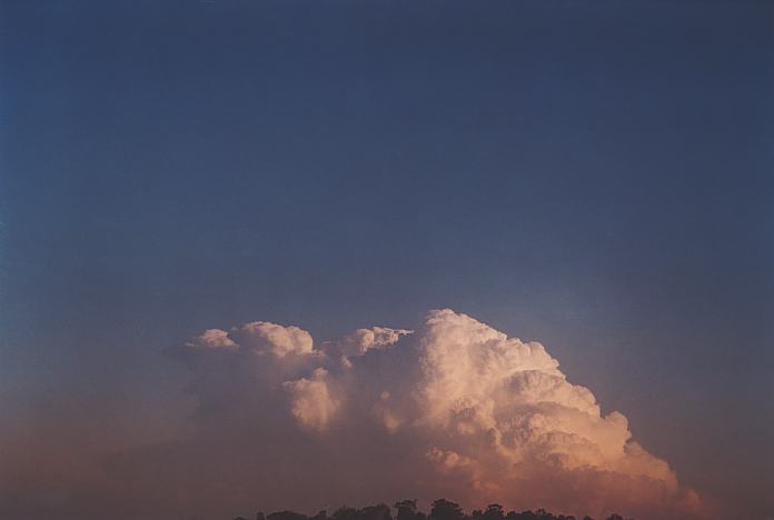 contributions received : near Jerrys Plains, NSW<BR>Photo by Geoff Thurtell   1 September 2001