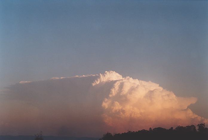 contributions received : near Jerrys Plains, NSW<BR>Photo by Geoff Thurtell   1 September 2001