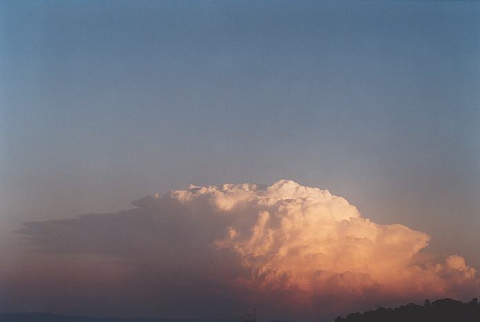 contributions received : near Jerrys Plains, NSW<BR>Photo by Geoff Thurtell   1 September 2001