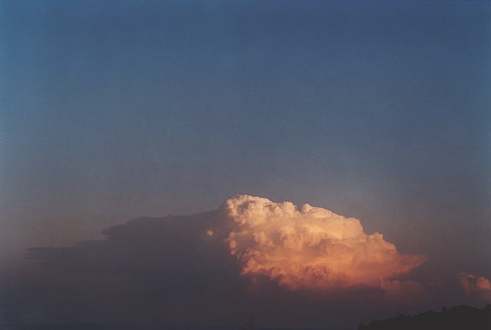 contributions received : near Jerrys Plains, NSW<BR>Photo by Geoff Thurtell   1 September 2001