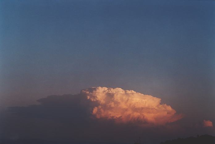 contributions received : near Jerrys Plains, NSW<BR>Photo by Geoff Thurtell   1 September 2001