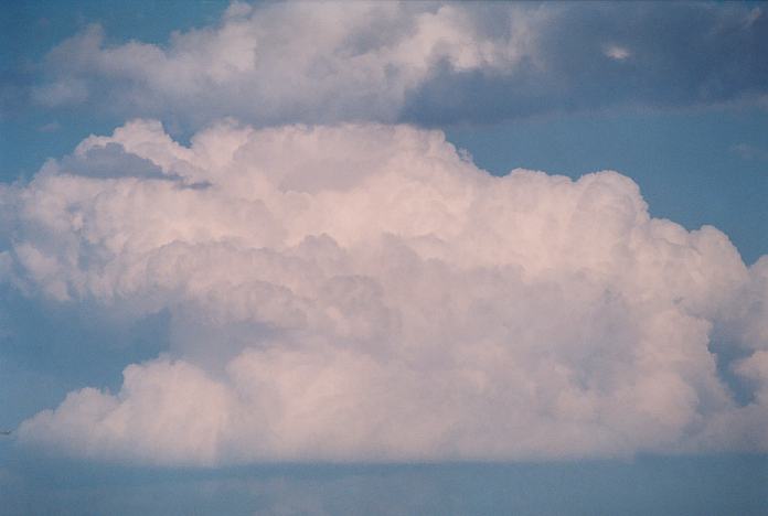 cumulus congestus : Jerrys Plains, NSW   1 September 2001