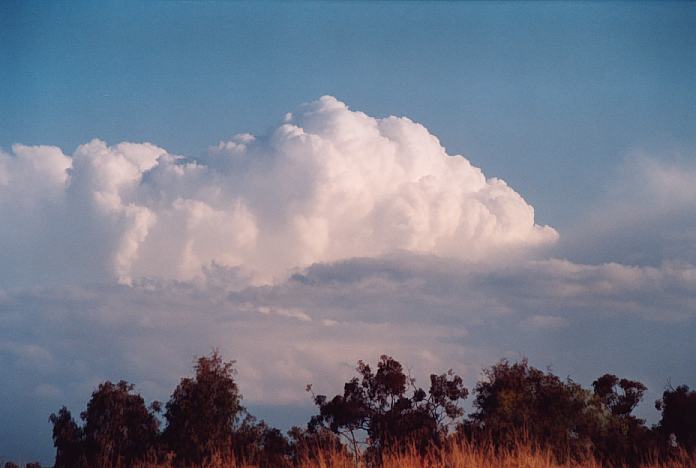 cumulonimbus supercell_thunderstorm : Jerrys Plains, NSW   1 September 2001