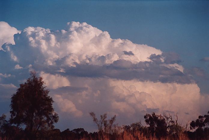 cumulonimbus supercell_thunderstorm : Jerrys Plains, NSW   1 September 2001