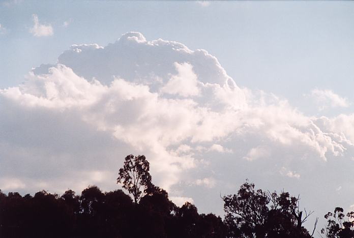 thunderstorm cumulonimbus_calvus : Jerrys Plains, NSW   1 September 2001