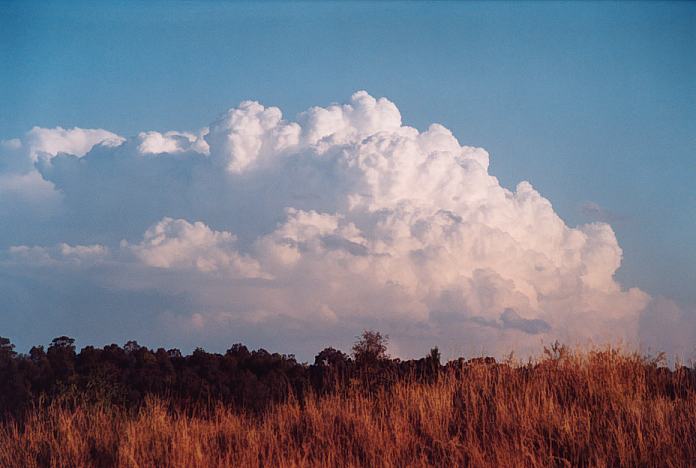 thunderstorm cumulonimbus_incus : Jerrys Plains, NSW   1 September 2001