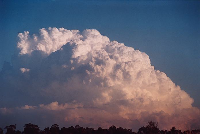 updraft thunderstorm_updrafts : Jerrys Plains, NSW   1 September 2001