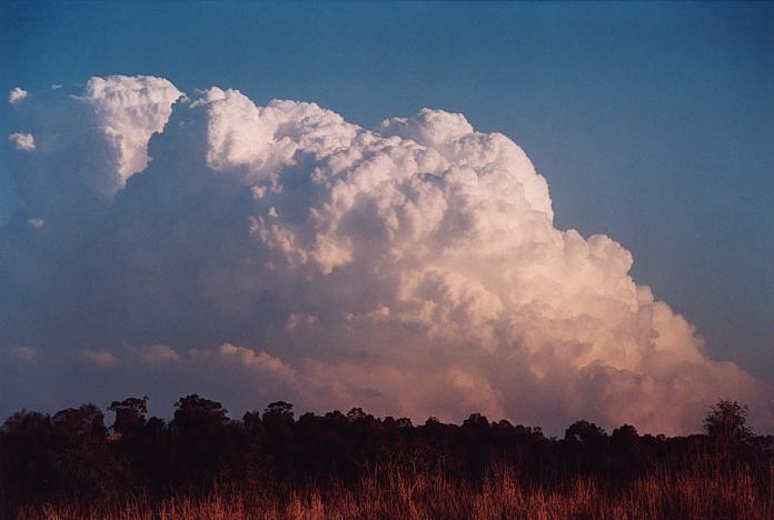 updraft thunderstorm_updrafts : Jerrys Plains, NSW   1 September 2001