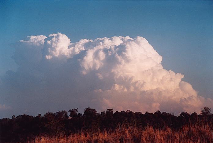 updraft thunderstorm_updrafts : Jerrys Plains, NSW   1 September 2001