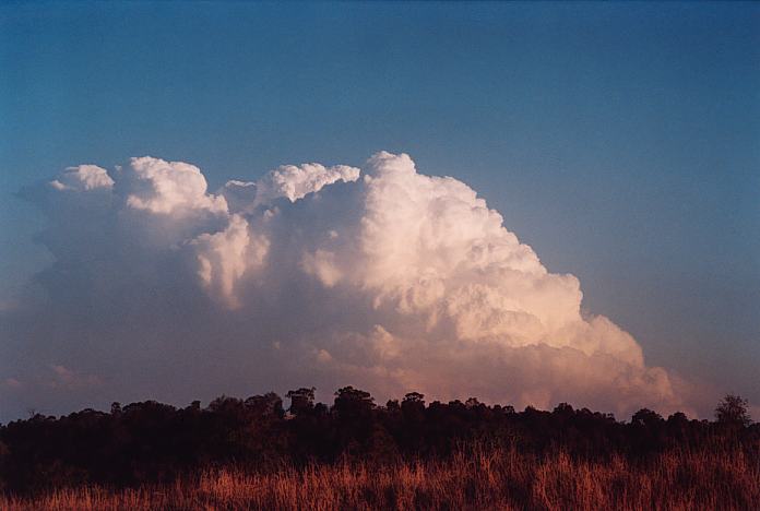 thunderstorm cumulonimbus_incus : Jerrys Plains, NSW   1 September 2001