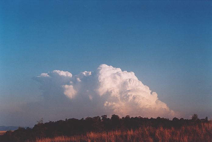 thunderstorm cumulonimbus_incus : Jerrys Plains, NSW   1 September 2001