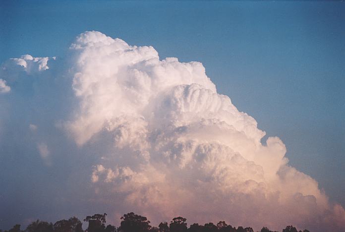 cumulonimbus supercell_thunderstorm : Jerrys Plains, NSW   1 September 2001