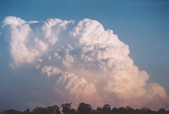 updraft thunderstorm_updrafts : Jerrys Plains, NSW   1 September 2001