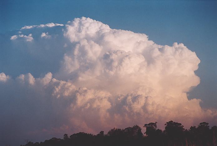 cumulonimbus supercell_thunderstorm : Jerrys Plains, NSW   1 September 2001