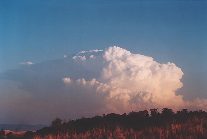 cumulonimbus supercell_thunderstorm : Jerrys Plains, NSW   1 September 2001