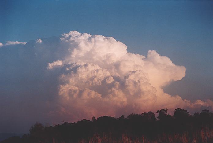 cumulonimbus supercell_thunderstorm : Jerrys Plains, NSW   1 September 2001