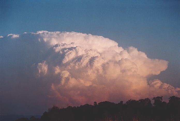 cumulonimbus supercell_thunderstorm : Jerrys Plains, NSW   1 September 2001