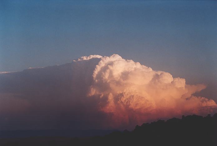 cumulonimbus supercell_thunderstorm : Jerrys Plains, NSW   1 September 2001