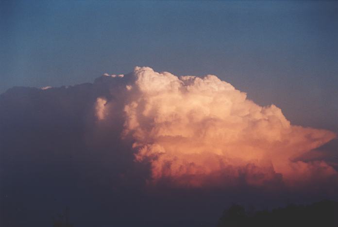 updraft thunderstorm_updrafts : Jerrys Plains, NSW   1 September 2001