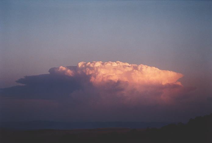 cumulonimbus supercell_thunderstorm : Jerrys Plains, NSW   1 September 2001