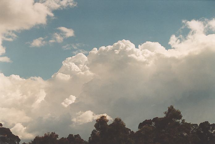 thunderstorm cumulonimbus_calvus : Evans High Blacktown, NSW   12 September 2001