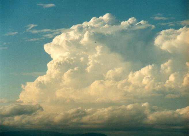 updraft thunderstorm_updrafts : McLeans Ridges, NSW   14 September 2001