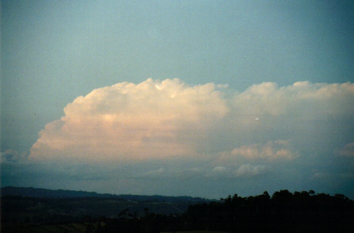 thunderstorm cumulonimbus_incus : McLeans Ridges, NSW   14 September 2001