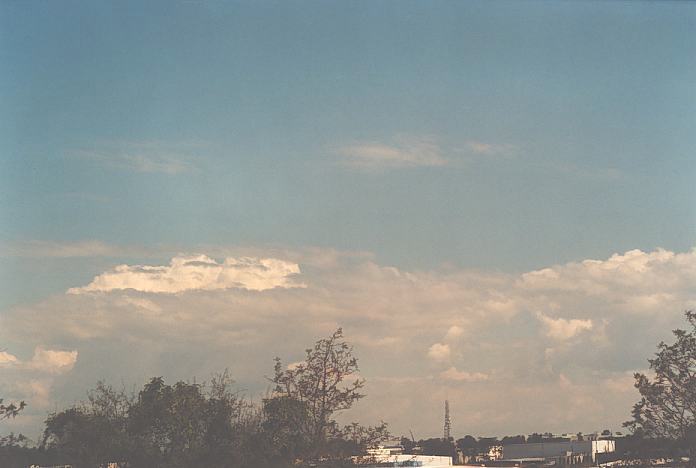 cumulus mediocris : Evans High Blacktown, NSW   20 September 2001