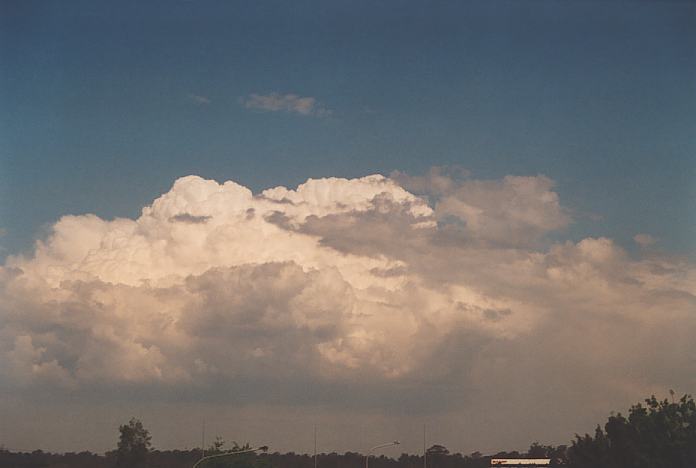 cumulus congestus : Evans High Blacktown, NSW   20 September 2001