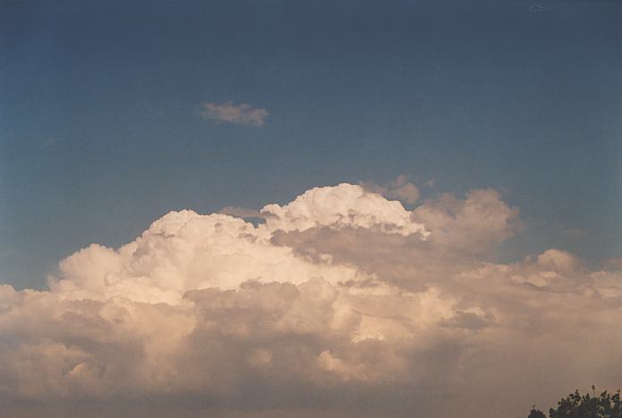 cumulus congestus : Evans High Blacktown, NSW   20 September 2001