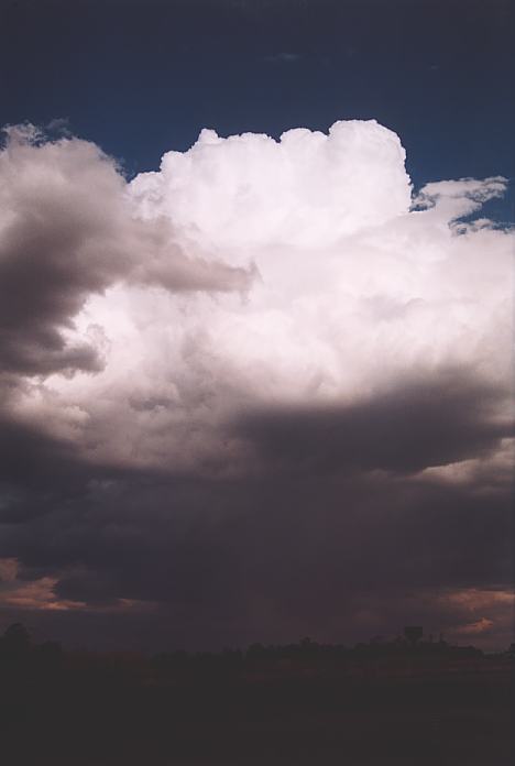 thunderstorm cumulonimbus_calvus : Quakers Hill, NSW   25 September 2001