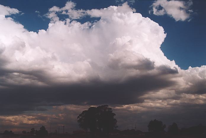 thunderstorm cumulonimbus_calvus : Quakers Hill, NSW   25 September 2001