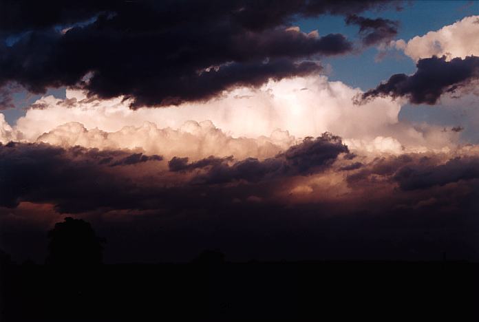 thunderstorm cumulonimbus_calvus : Boundary Road Oakville, NSW   25 September 2001