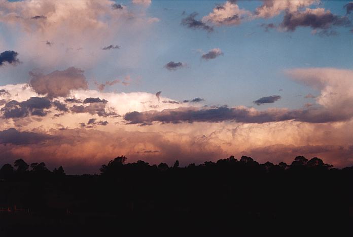 thunderstorm cumulonimbus_calvus : off Boundary Road Box Hill, NSW   25 September 2001