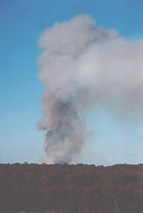 bushfire wild_fire : Schofields, NSW   29 September 2001