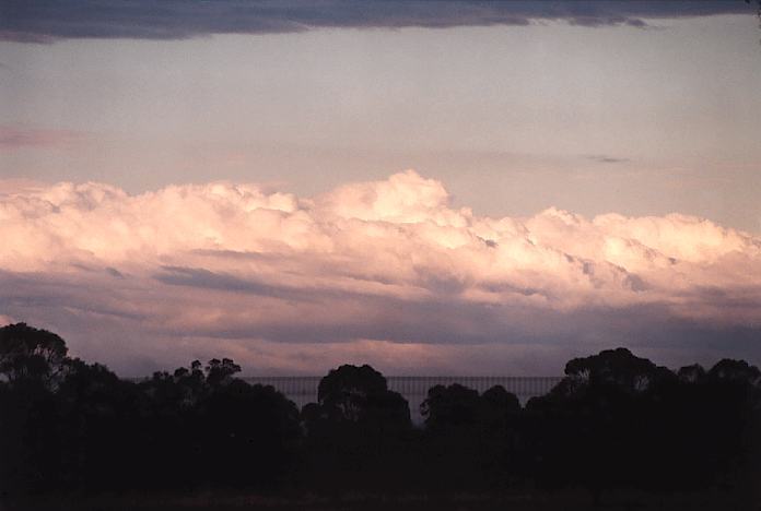 cumulus congestus : Schofields, NSW   3 October 2001