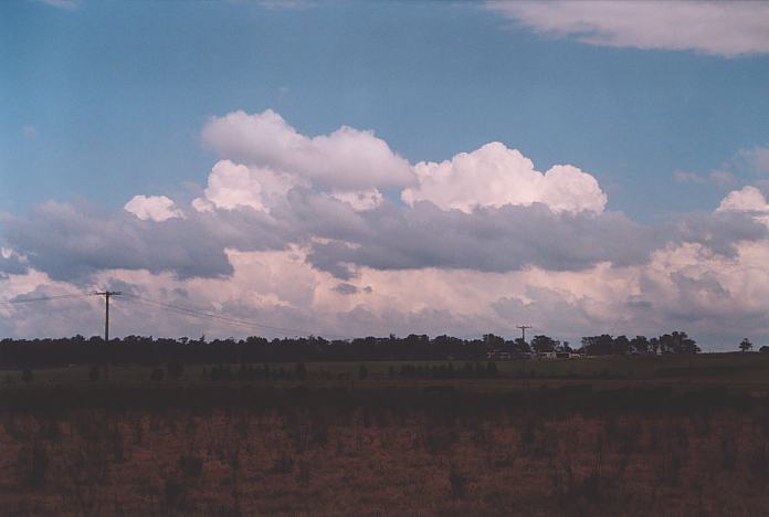 cumulus mediocris : Morpeth, NSW   3 October 2001