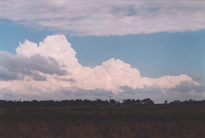 thunderstorm cumulonimbus_calvus : Morpeth, NSW   3 October 2001