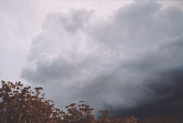 updraft thunderstorm_updrafts : N of Bulahdelah, NSW   3 October 2001