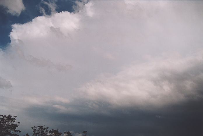 thunderstorm cumulonimbus_incus : 16km S of Nabiac, NSW   3 October 2001