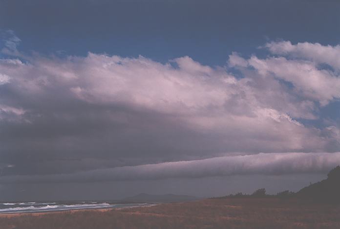 cumulus mediocris : Hallidays Point, NSW   3 October 2001