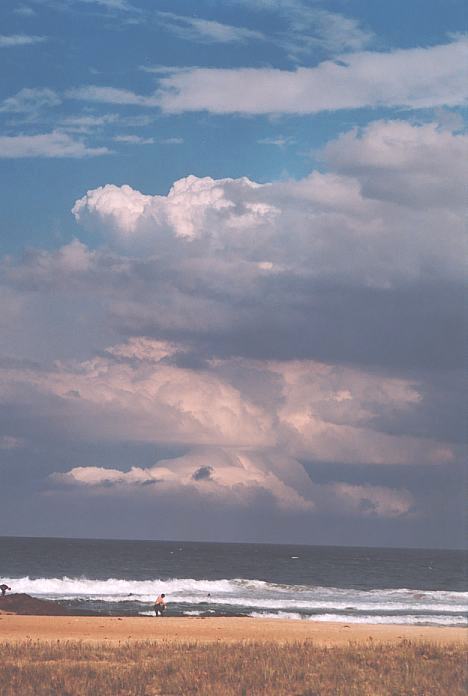 thunderstorm cumulonimbus_incus : Hallidays Point, NSW   3 October 2001