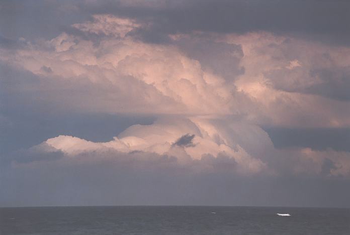 cumulonimbus thunderstorm_base : Hallidays Point, NSW   3 October 2001