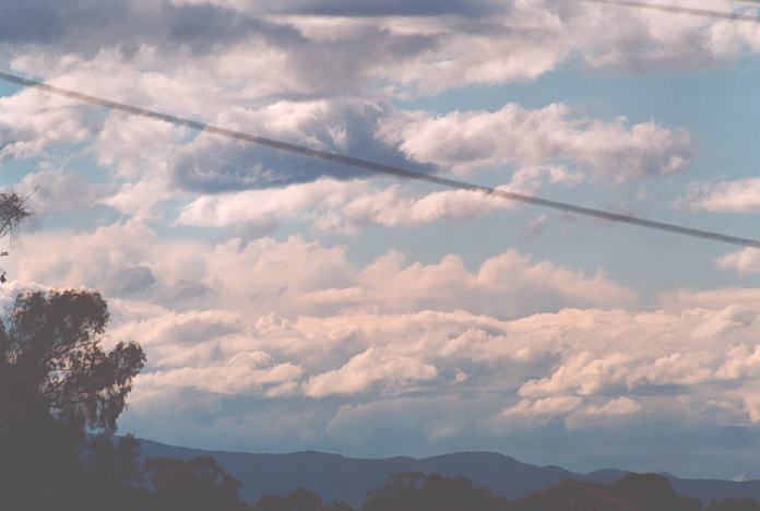 cumulus congestus : Schofields, NSW   14 October 2001