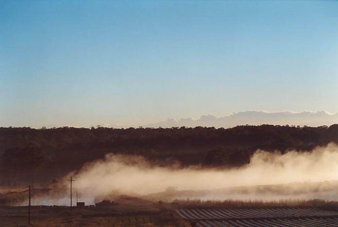 fogmist fog_mist_frost : Schofields, NSW   20 October 2001