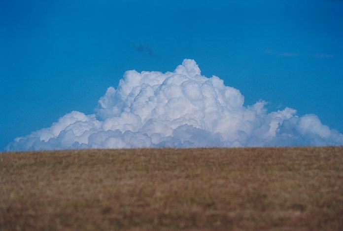 thunderstorm cumulonimbus_calvus : Rooty Hill, NSW   24 October 2001