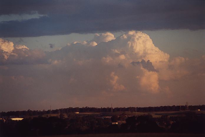 thunderstorm cumulonimbus_calvus : Rooty Hill, NSW   24 October 2001