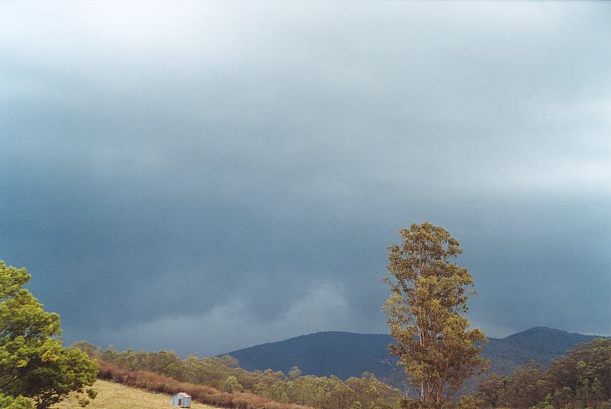 contributions received : Booral, NSW<BR>Photo by Geoff Thurtell   11 November 2001